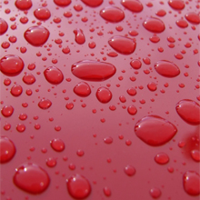 Car Dent  Repair